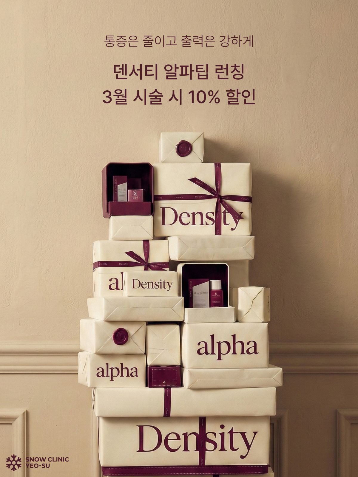 덴서티 알파 런칭